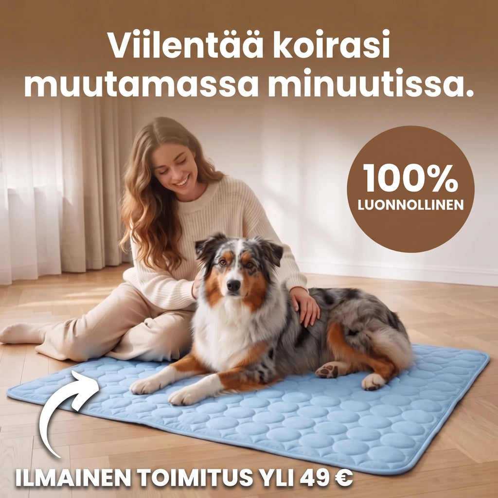 Viilentää koirasi muutamassa minuutissa