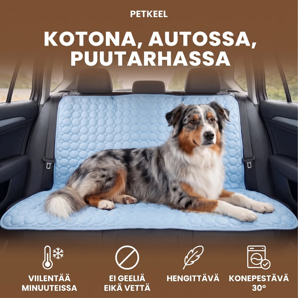 Kotona, autossa, puutarhassa
