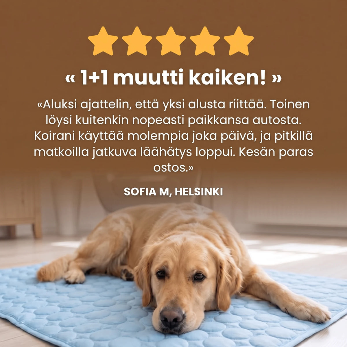 Asiakasarvostelu: 1+1 muutti kaiken