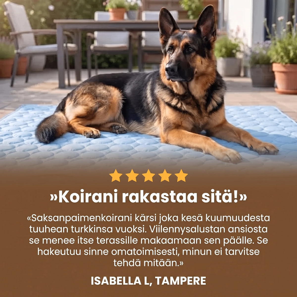 Asiakasarvostelu: Koirani rakastaa sitä